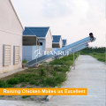 Farming port Automatic PP Belt End Chicken Manure Clean System